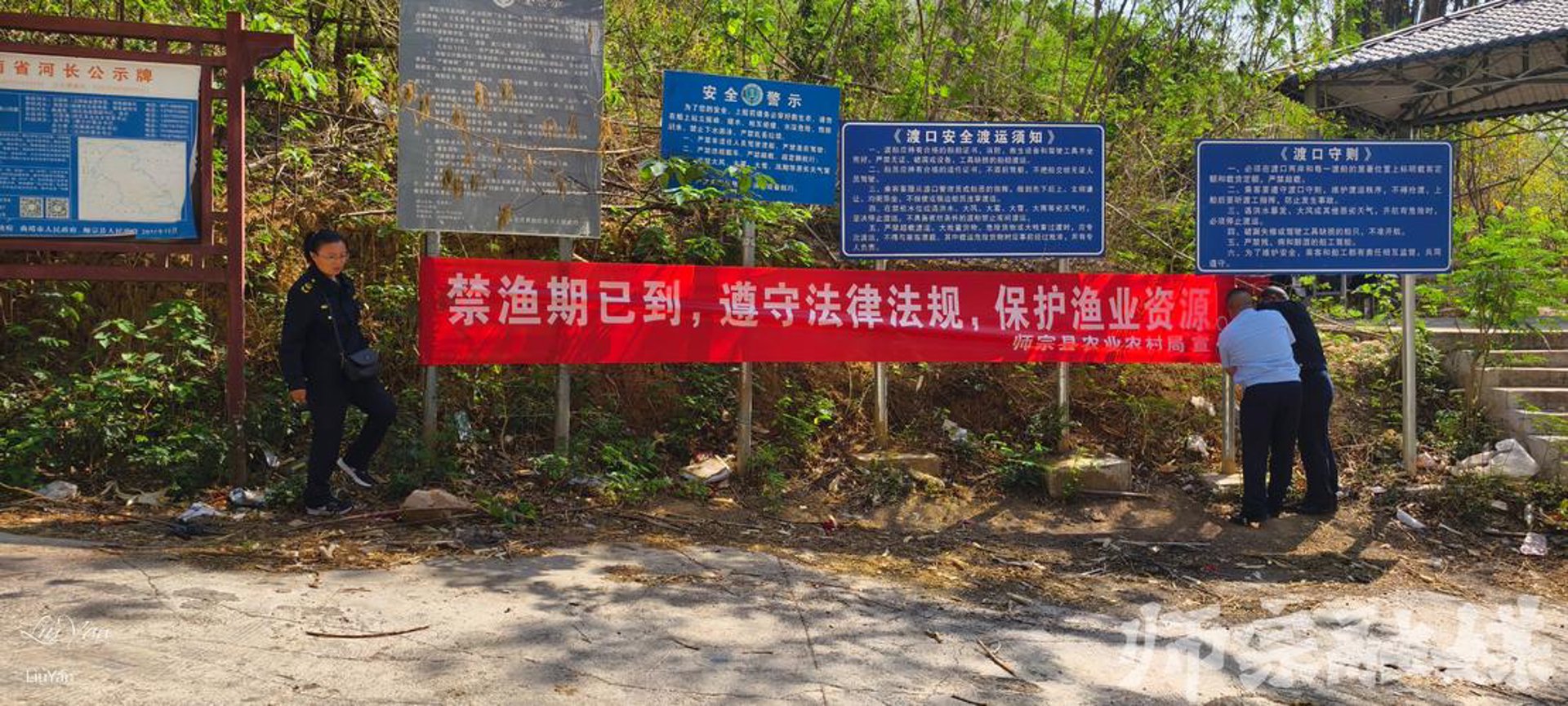 起航黑斑蛙养殖