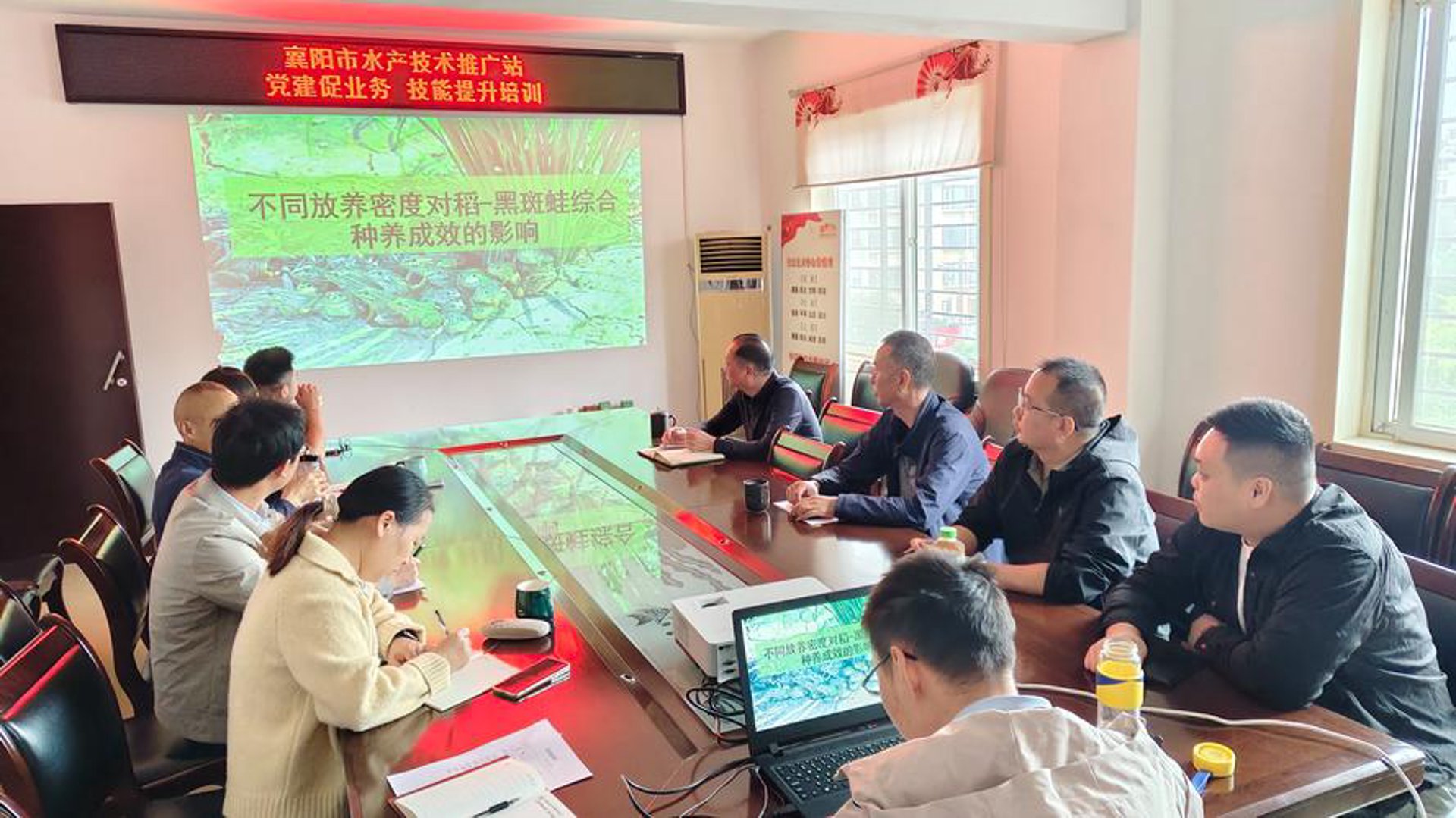 起航黑斑蛙养殖